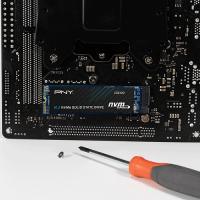 1TB PNY CS2130 3500/1800  NVMe PCIe M.2 SSD