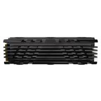 1TB PNY XLR8 CS3040HS 5600/4300 NVMe PCIe M.2 SSD