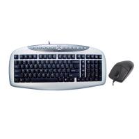 A4 TECH KB-21620D PS/2 Q Trk Optic Mouse Gümüş/Siyah Multimedya Klavye - Mouse Set