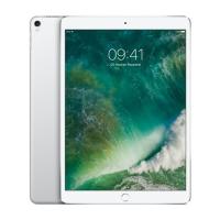 APPLE iPad Pro MP6H2TU/A 256GB 12.9 inç Wi-Fi Distribitör Silver
