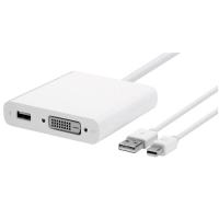 Apple Mini DisplayPort to Dual-Link DVI Adaptör MB571Z/A