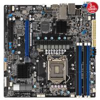 ASUS P12R-M/10G-2T C252 DDR4 UDIMM HDMI 1200p v2 uATX Sunucu Anakart