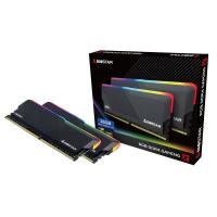 BIOSTAR RGB DDR4 GAMING X DHD36EU4RP 3600MHz 16GB Kit (8GBx2) CL18