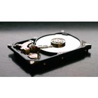 Chia (XCH) Mining Plotting Hazır Tak Çalıştır Harddisk