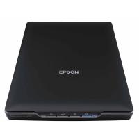 EPSON A4 Perfection V19 Fotoğraf ve belge tarayıcısı