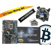 Esonic B250 BTC Gladiator 12'li Anakart + G4400 İşlemci + Intel Fan + 4GB DDR4 Ram