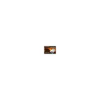 EVEREST EPS-FX01 200W 24 PIN P41SATA1IDE 4Cm SLIM