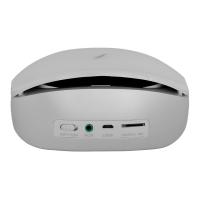 FRISBY FS-P176BT Stereo Bluetooth Hoparlör