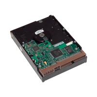 HP 1TB 3.5" 7200RPM SATA3 SUNUCU-WS HARDDİSK LQ037AA