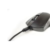 INCA IWM-393RT Kablosuz Sessiz 1600dpi Optic Siyah Mouse Şark Edilebilir