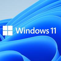 MICROSOFT Windows 11 Pro Trk OEM 64 bit FQC-10556