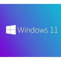 MICROSOFT WINDOWS 11 HOME 64BIT TURKCE OEM KW9-00660