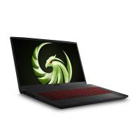 MSI BRAVO 17 A4DDR-039XTR RYZEN 7 4800H 16GB 512GB SSD 4GB RX 5500M 17.3 FREEDOS