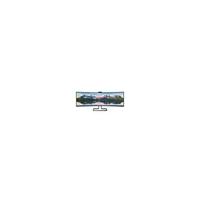 Philips 48.8" 499P9H/00 5ms Dual QHD Curved MM