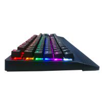 PHILIPS Momentum SPK8403/62 Gaming KLAVYE Rainbow Lighting, Mechanical Usb
