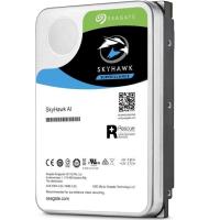 Seagate 12TB Skyhawk 256MB 7200 rpm ST12000VE0008
