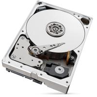 SEAGATE 3.5" 10TB SKYHAWK ST10000VE0008 7200 RPM 256MB SATA-3 Güvenlik Diski