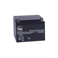 TBS 12v 24amper 12V-24AH-5 TSK1965 Kuru Tip Akü