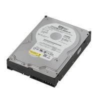 WESTERND DIGITAL 250GB WD2500YS 7200RPM 16MB SATA 3.0Gb/s 3.5 PC Hard Disk