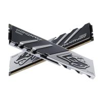 APACER 32GB (2X 16GB) DDR5 5200MHZ CL38 DUAL KIT PC RAM PANTHER AH5U32G52C5227BAA-2