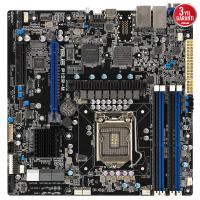 ASUS P12R-M C252 DDR4 UDIMM HDMI 1200p v2 uATX Sunucu Anakart