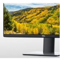 DELL 23.8" IPS P2421D 8MS 60HZ HDMI-DP (2560X1440) PROFESYONEL MONİTÖR
