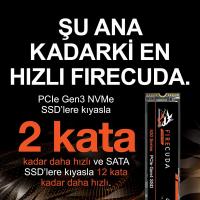 SEAGATE 1TB FIRECUDA 530 ZP1000GM3A013 7300-6000MB/s M2 NVME PCIE GEN4 DİSK
