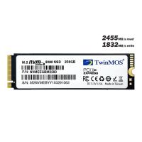 TwinMOS 256GB NVMeEGBM2280 2455-1832MB/s M2 NVME GEN3 DİSK