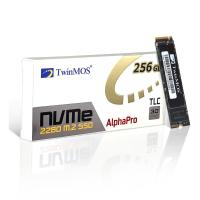 TwinMOS 256GB NVMeEGBM2280 2455-1832MB/s M2 NVME GEN3 DİSK