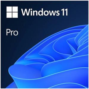 MS Windows 11 Pro FQC-10556 64BIT TR (OEM)