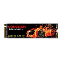 CODEGEN 256GB CDG-256GB-NVME 2100- 1400MB/s M2 PCIe NVMe Gen3 Disk