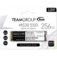 TEAM 256GB MS30 TM8PS7256G0C101 500- 300MB/s M2 SATA-3 Disk